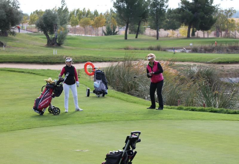 ENFRENTAMIENTO SOTOVERDE VS GRIJOTA