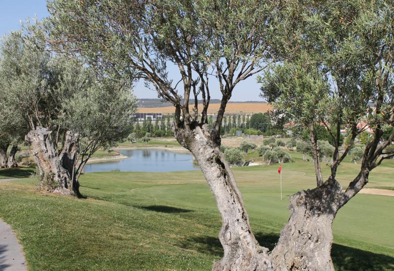 17 de junio: II OPEN DE DAMAS