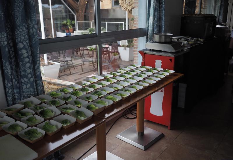 III TORNEO ALIMENTOS DE VALLADOLID