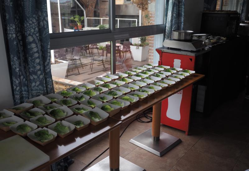 III TORNEO ALIMENTOS DE VALLADOLID