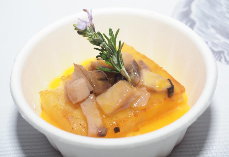 III TORNEO ALIMENTOS DE VALLADOLID