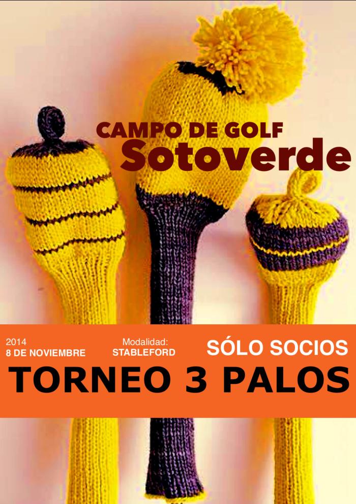 TORNEO 3 PALOS 2014